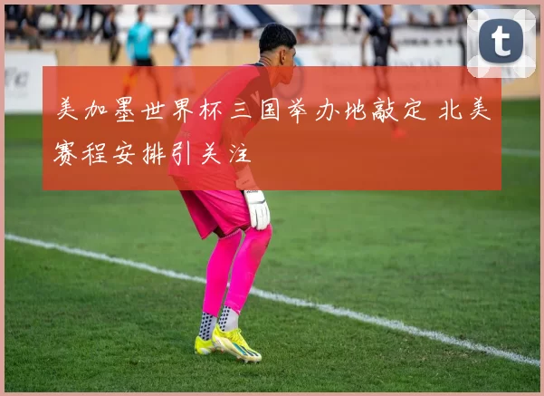 美加墨世界杯三国举办地敲定 北美赛程安排引关注