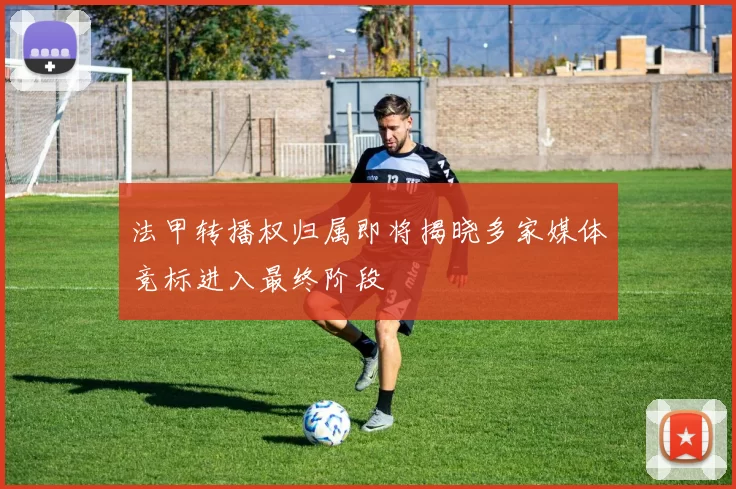 法甲转播权归属即将揭晓多家媒体竞标进入最终阶段